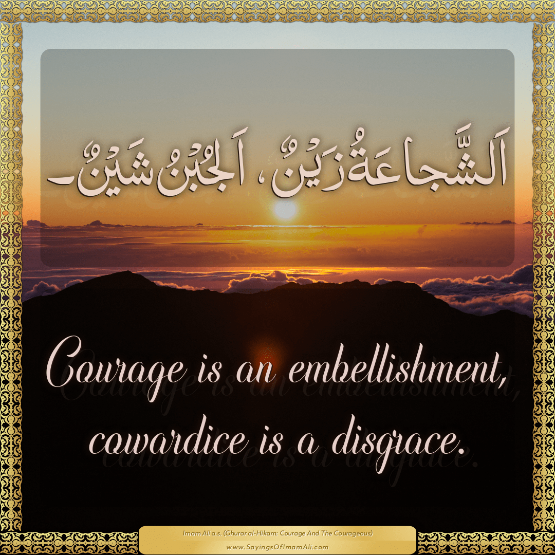 Courage is an embellishment, cowardice is a disgrace.